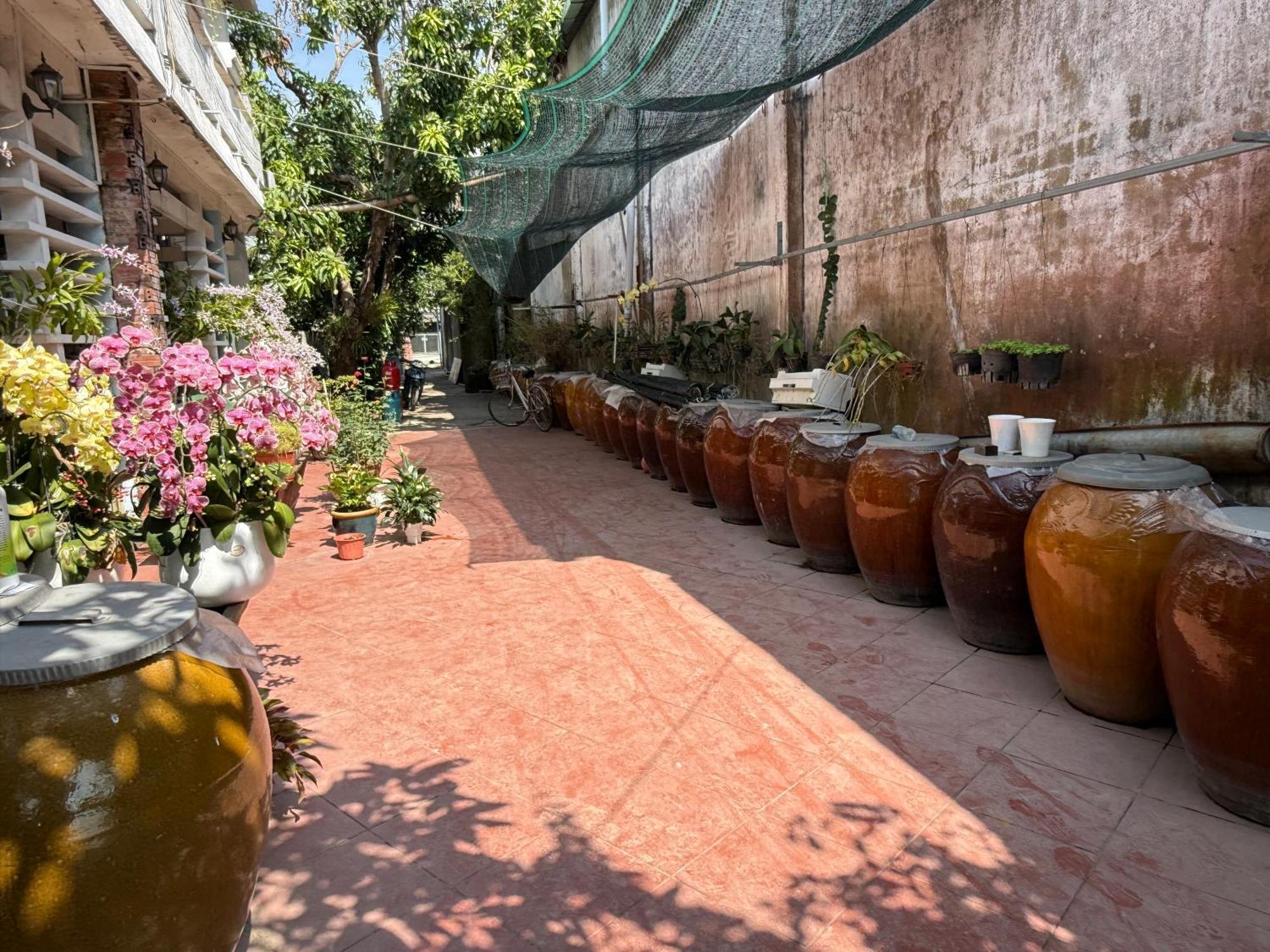 Island Homestay Tien Giang Mỹ Tho Eksteriør bilde