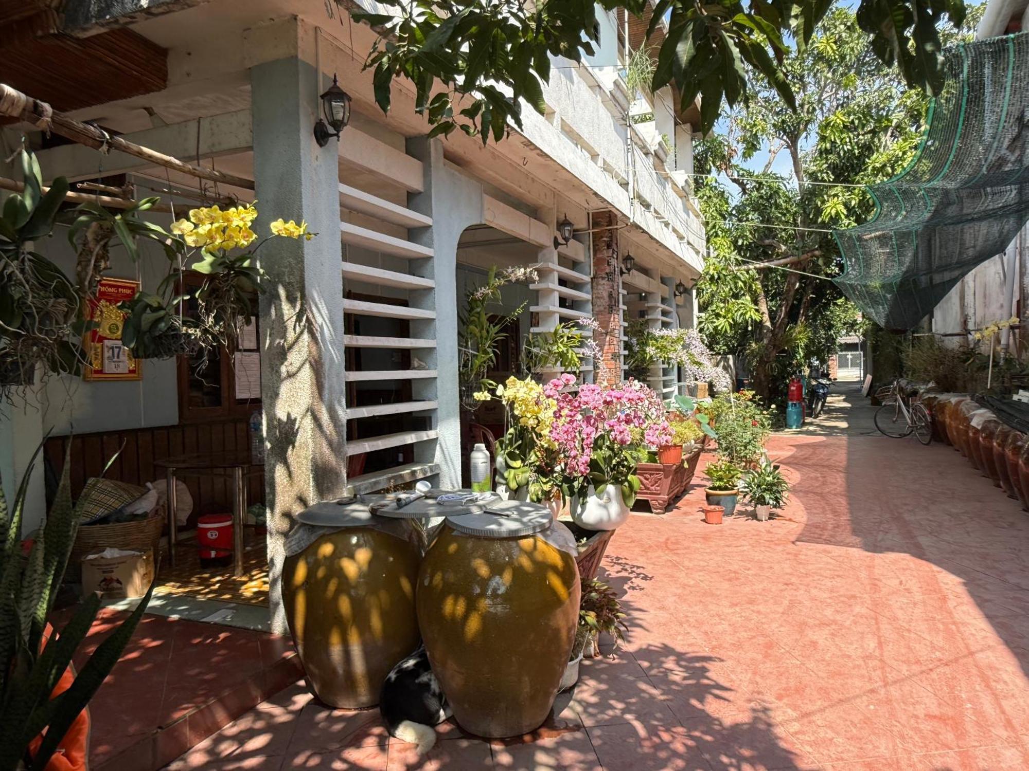 Island Homestay Tien Giang Mỹ Tho Eksteriør bilde
